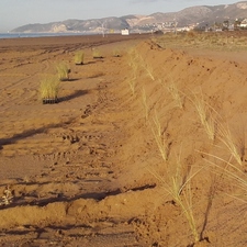 Millora de les dunes de Castelldefels