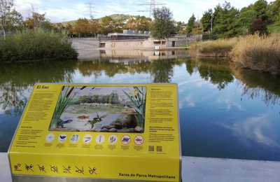 Pla de millora de la biodiversitat als parcs i a les platges