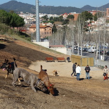 Àrees i espais d'esbarjo per a gossos