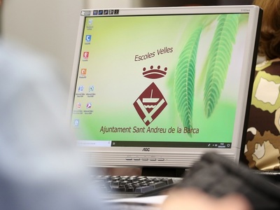 Pantalla d'ordinador