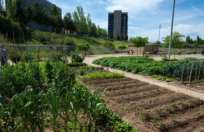 Hort Fontsanta Huerto Fontsanta