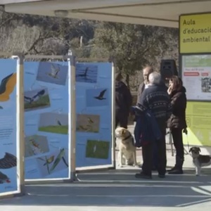 Què són les aules d'educació ambiental i quina singularitat tenen?