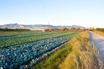 Parc agrari al voltant del riu