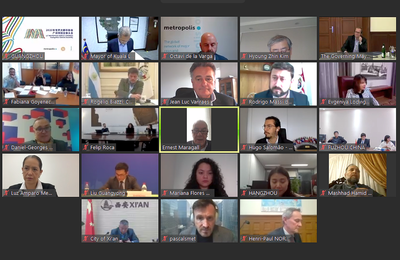 Image of the online meeting