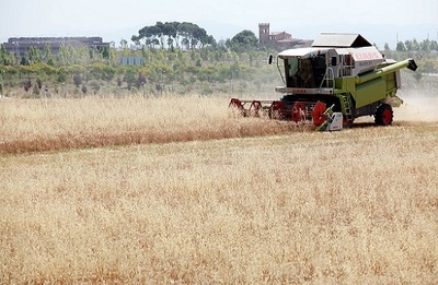 Transició socioecològica de l'agricultura metropolitana de Barcelona