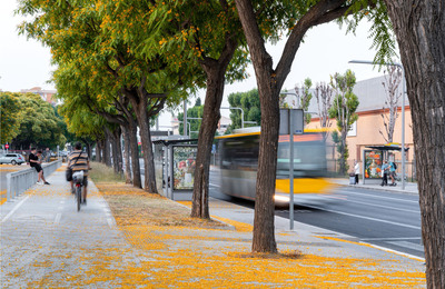 IMG Imatge decorativa