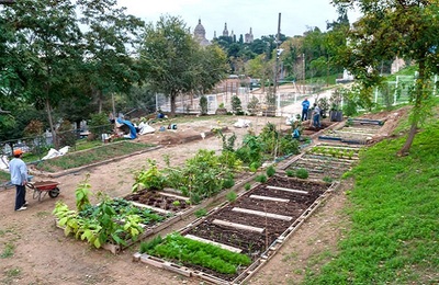 L'agricultura urbana i periurbana en el marc d'un sistema agroalimentari sostenible