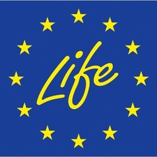 Life logo