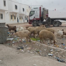 Kairouan