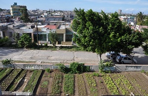 Agricultura metropolitana