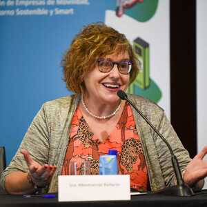 Montserrat Ballarín, vicepresidenta de l'Àrea de Desenvolupament Social i Econòmic