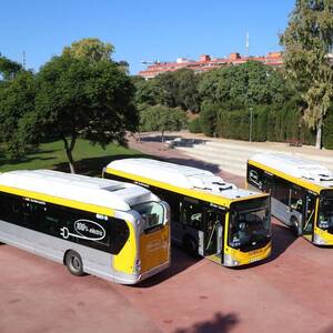 Nous busos Nous busos