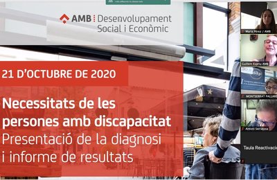 Diagnosi de les necessitats de les persones amb discapacitat