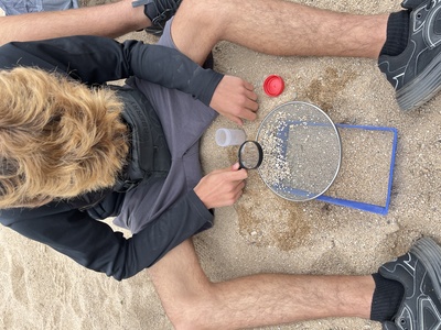 Grup d'escolars a la platja