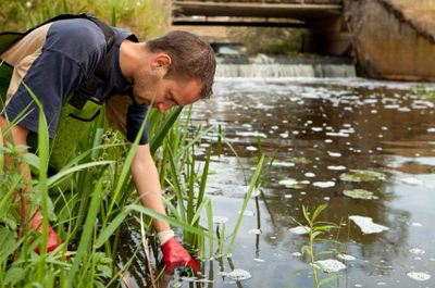 Environmental authority
