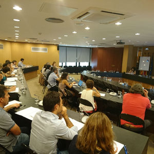 Estrat&egrave;gia de gesti&oacute; del carboni