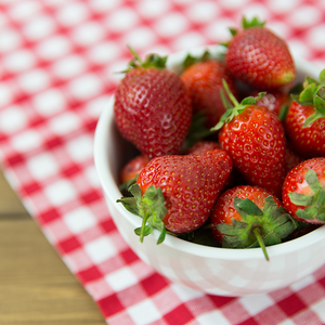Nutrició sense fronteres