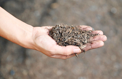 Compost