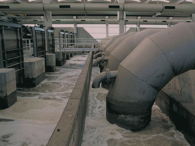 Imatge de la xarxa de col·lectors