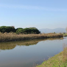 Estany de la Murtra