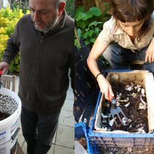 Imatge de la publicació