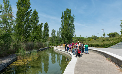 Imatge de l'estany