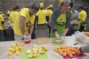 El Gran Dinar contra el malbaratament