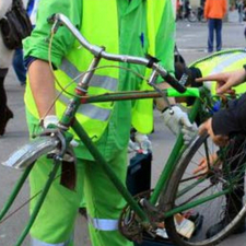 Imatge de la publicació