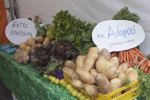 El Gran Dinar contra el malbaratament