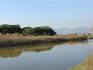 Estany de la Murtra