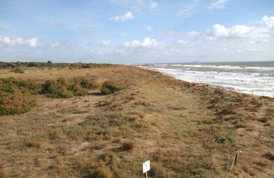 Dunes a les platges