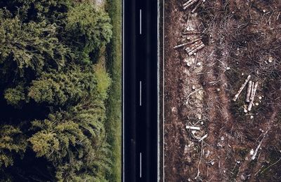 Carretera que separa un bosc desforestat d'un altre sense actuació humana