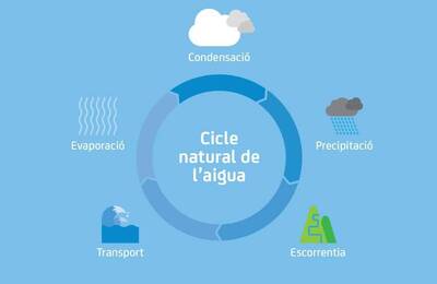 Pòster Cicle de l&#39;aigua