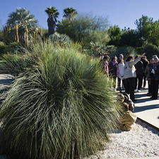 Jardí Botànic