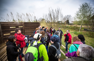 Un grup d'infants participant en una de les activitats de la Jugatecambiental