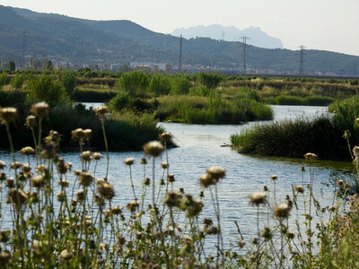 Parc Riu Llobregat