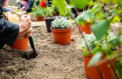 arrela&#39;t als parcs