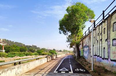 La imatge mostra un carril bici separat d’un passeig per a vianants. A la dreta del carril bici hi ha un arbre i un fanal i a l’esquerra el riu Besòs. El dia és assolellat i el cel és clar. El carril bici està clarament senyalitzat amb marques al paviment.
