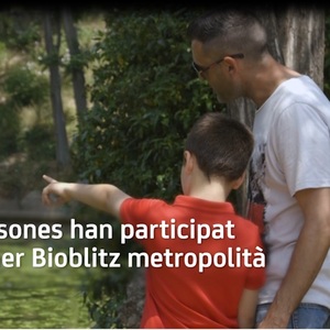 1r Bioblitz Metropolità als espais verds urbans