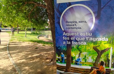 decorativa