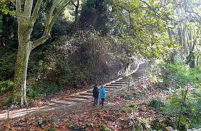 Rutes per Collserola