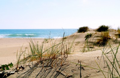 Imagen de las playas