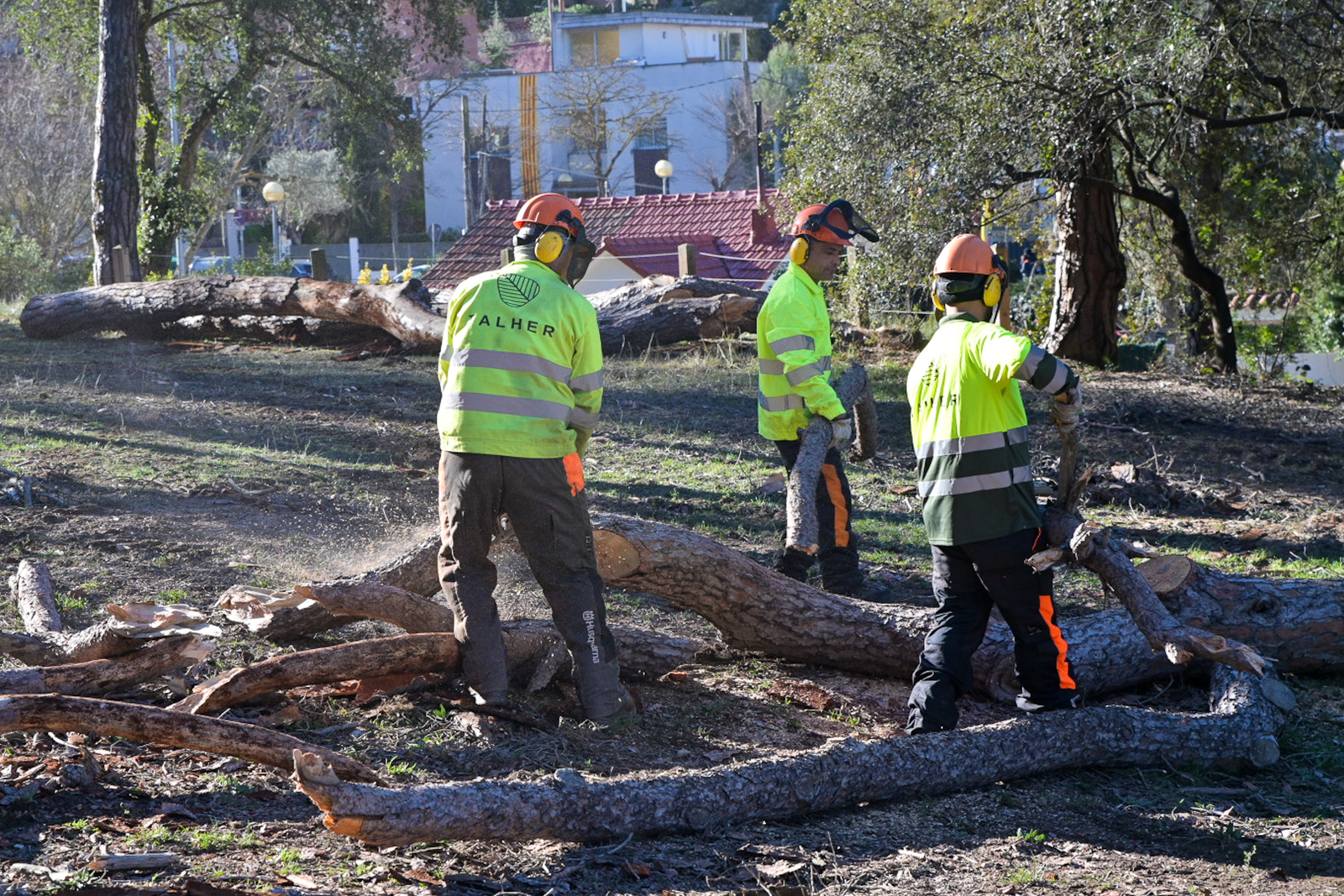 Es retiren 200 arbres afectats per la sequera al baixador de Vallvidrera