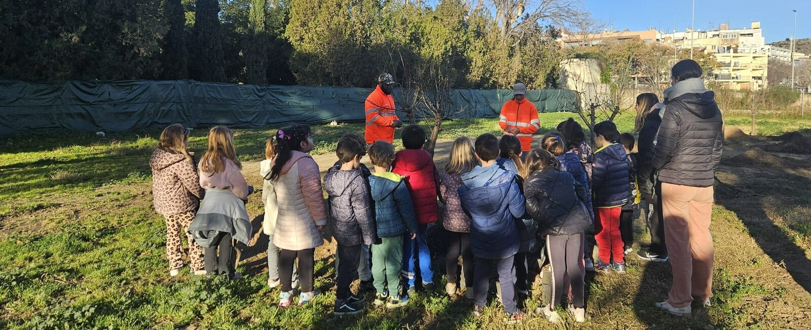 Visita