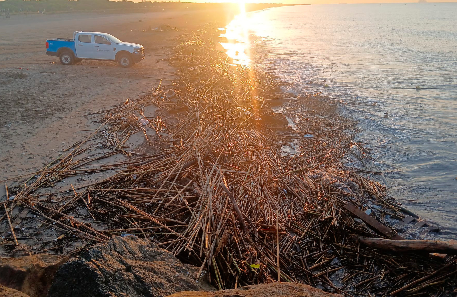 Balanç de l’estiu a les platges