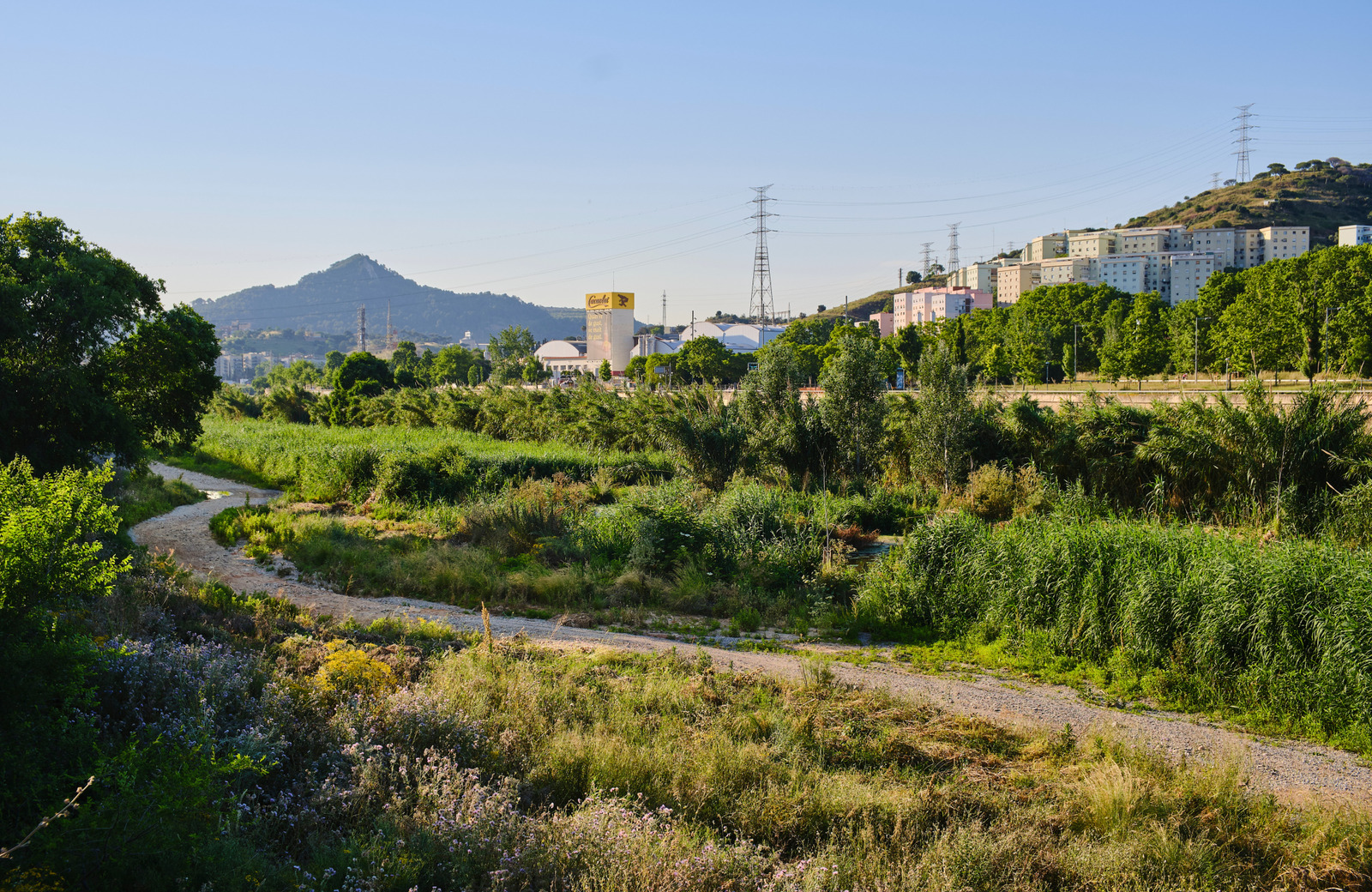 Biodiversitat a la llera del riu Besós