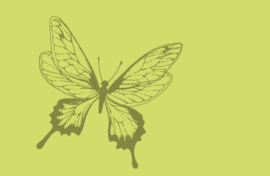 Jardí de papallones i hotel d'insectes del parc de la Fontsanta