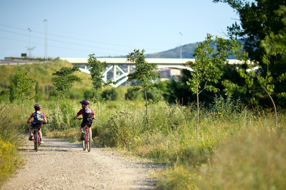 Usuaris en bicicleta en un camí del Parc Riu Llobregat