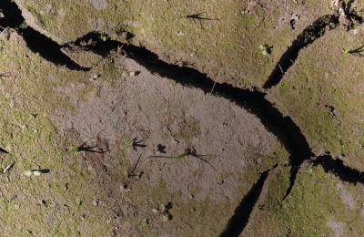 $htmlUtil.escapeAttribute($imatge_om_)