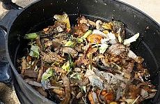 Imatge de la publicació